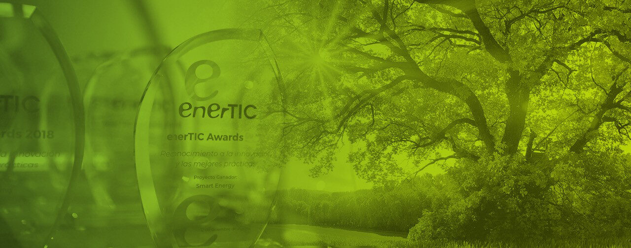 Identidad oficial de enerTIC Awards 2026 · Entrega de galardones (XIV edición)