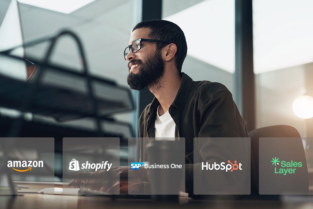 Servicios de integración de sistemas empresariales para una gestión eficiente y conectada