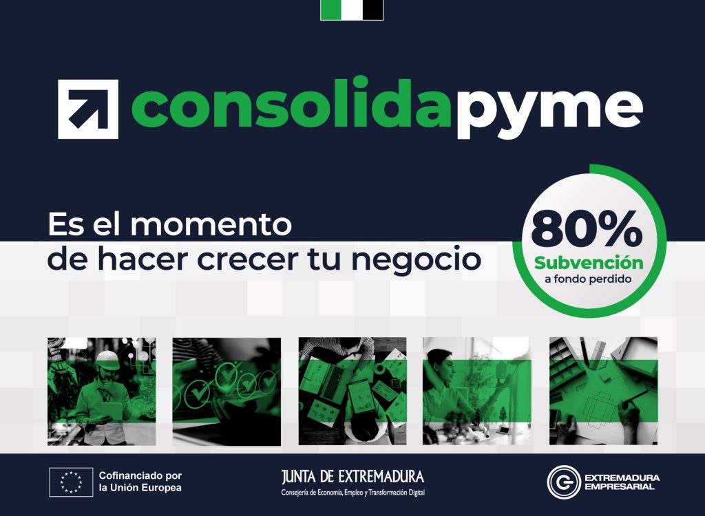 Extremadura –Ayudas a la implantación de herramientas tecnológicas (Ref. 221-25)