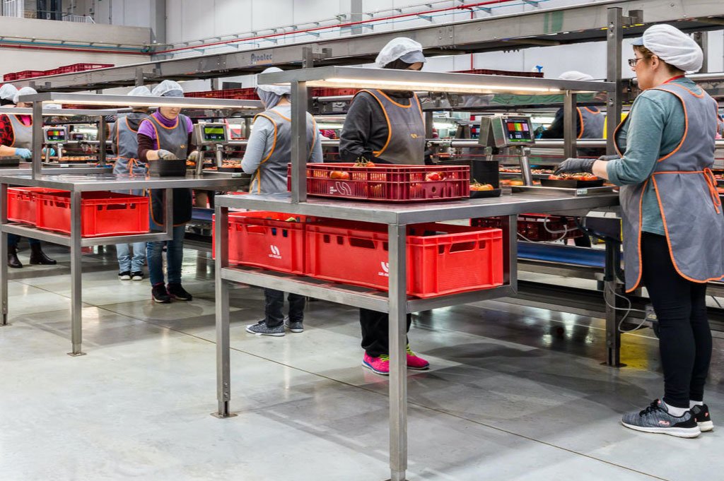 Módulos del ERP Hortofrutícola Fruttec