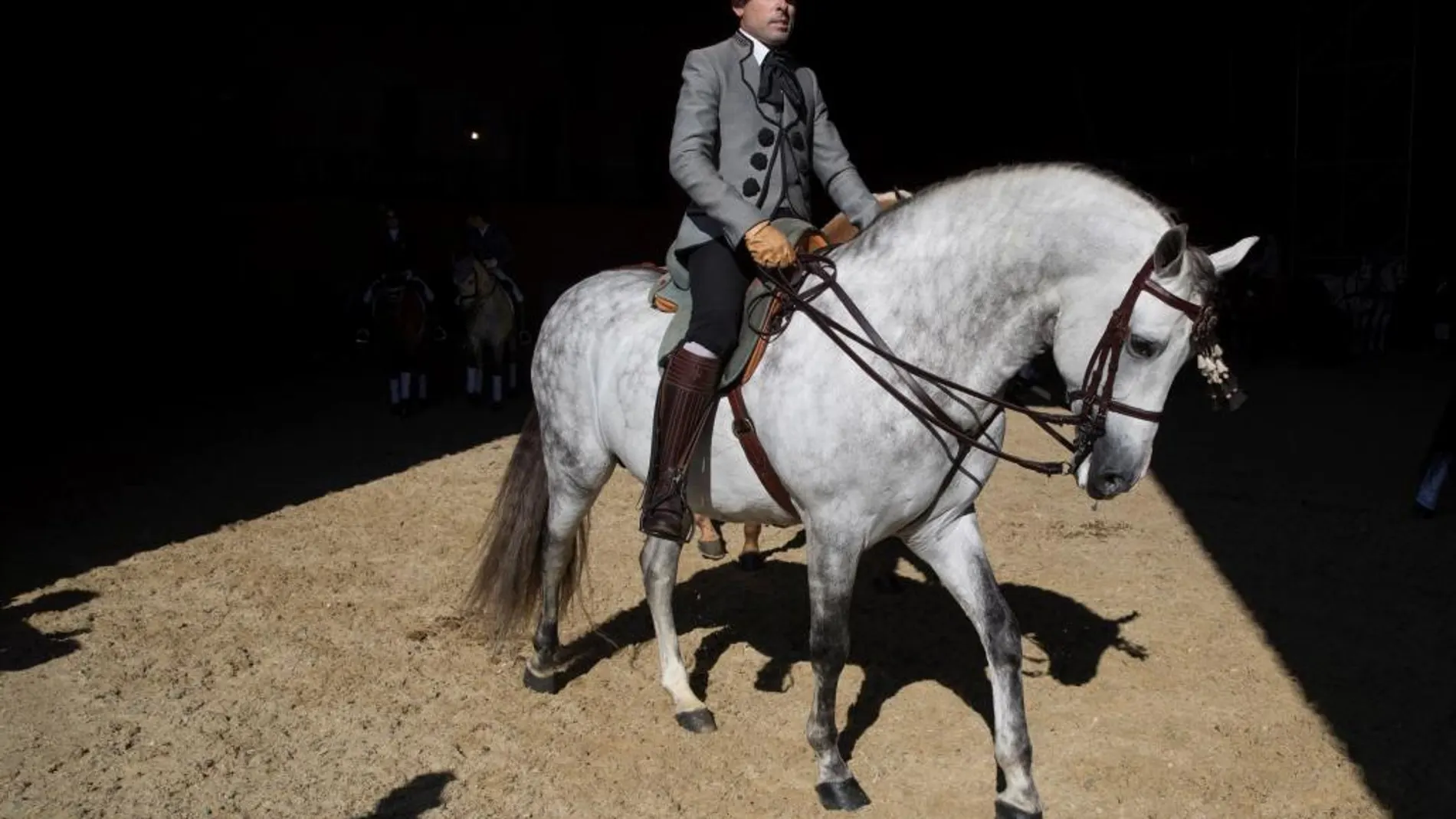 Blockchain para proteger el linaje del caballo español