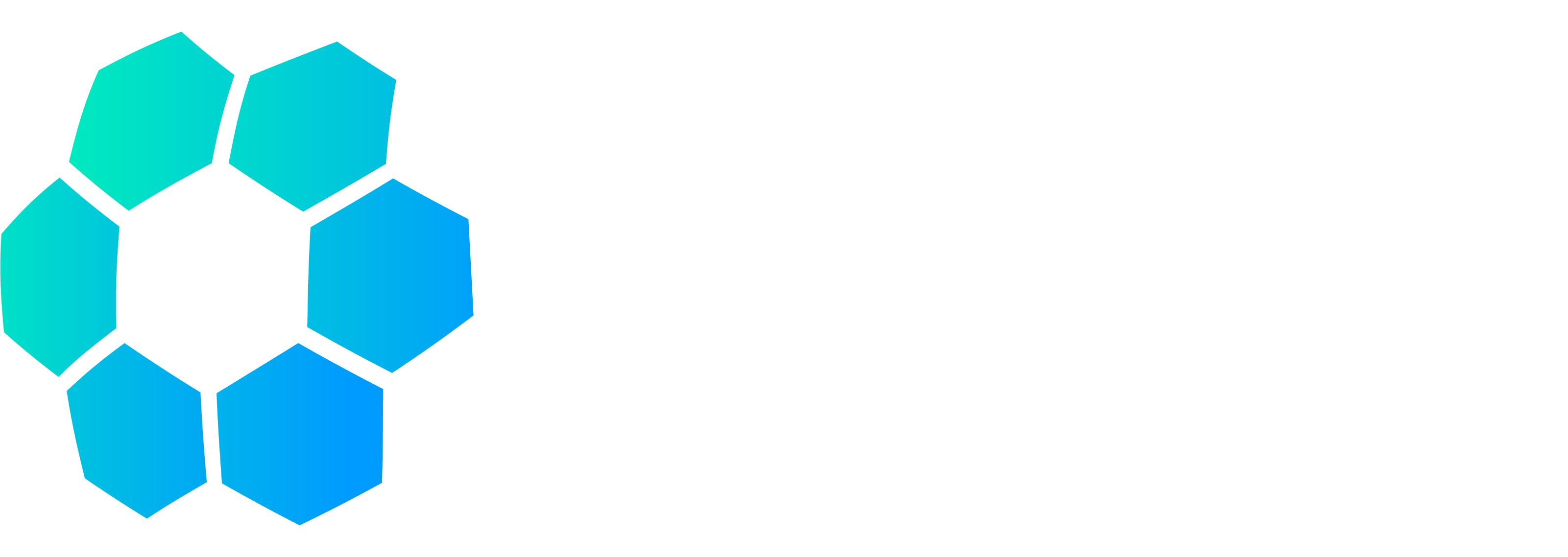 Logotipo FNDB