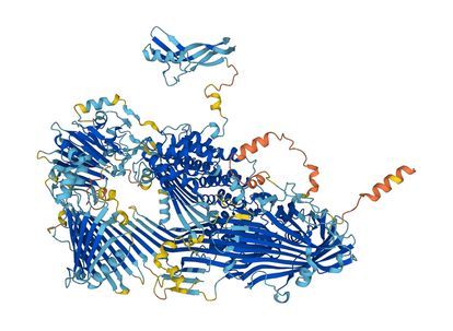 La IA de Google predice la estructura de todas las proteínas conocidas